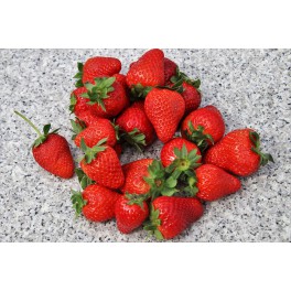 BIO jahody 1.jakost 250g (Bioaspa Kúty) BIO jahody 1.jakost 250g (Bioaspa Kúty)