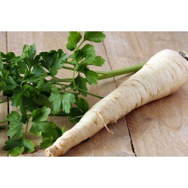 BIO petržel 300g - z dovozu BIO petržel 300g - z dovozu