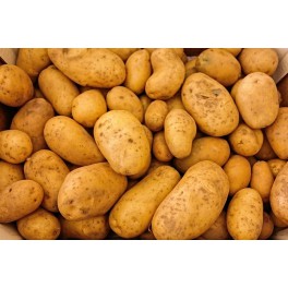 BIO brambory (Damnice) BIO brambory (Damnice)