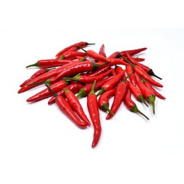 BIO Chilli papričky 10 ks tabasco (Damnice)