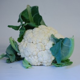 Květ&aacute;k farm&aacute;řsk&yacute; 1 ks (Tvarožn&aacute;)  BEZ Z&Aacute;RUKY