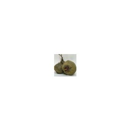 BIO řepa červen&aacute; 500g (Debl&iacute;n) 