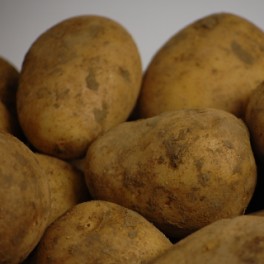 BIO Brambory 1 kg (Damnice) 