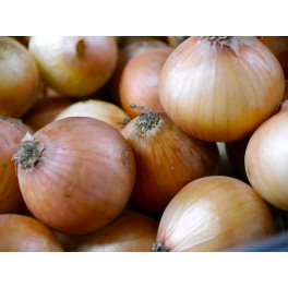 BIO cibule 500g (Sociální podnik Jasan) BIO cibule 500g (Sociální podnik Jasan)