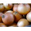 BIO cibule 500g (Sociální podnik Jasan)