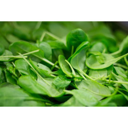 BIO Špenát cca 300g (Damnice) BIO Špenát cca 300g (Damnice)