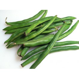 BIO fazolky zelen&eacute; a fialov&eacute; lusky 300g (Damnice) 