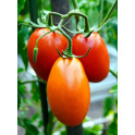 Rajčata na passatu 500g (Boršice) - AKČNÍ CENA
