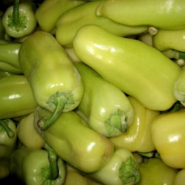 Paprika zelen&aacute; 300g (Kř&iacute;ž, Tvarožn&aacute;) 