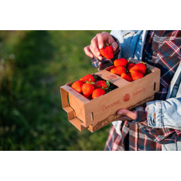 Jahody ze skleníku 1kg v košíku (Farma Ráječek) Jahody ze skleníku 1kg v košíku (Farma Ráječek)