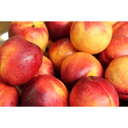 Nektarinky 1kg (Velké Bílovice) Nektarinky 1kg (Velké Bílovice)