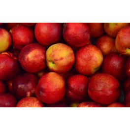 Jablka Rubinola 500g (Sady Střílky)