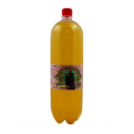 Kombucha 2 litry šípek (Stevikom)