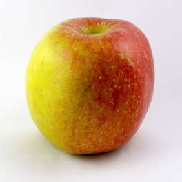 Jablka Braeburn 500g (Sady St.Lískovec) Jablka Braeburn 500g (Sady St.Lískovec)