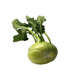 BIO kedlubna 1 ks (Biozelenina Damnice) BIO kedlubna 1 ks (Biozelenina Damnice)