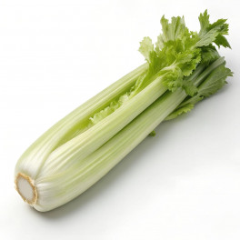 BIO Řapíkatý celer (Damnice) BIO Řapíkatý celer (Damnice)