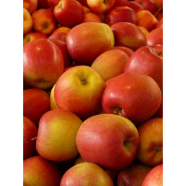 Jablka letní Julia 500g (Sady Střílky) Jablka letní Julia 500g (Sady Střílky)