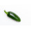 BIO chilli Jalapeno 200g (Damnice)