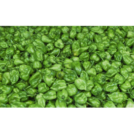 BIO chilli habanero hot 3 ks (Damnice) BIO chilli habanero hot 3 ks (Damnice)