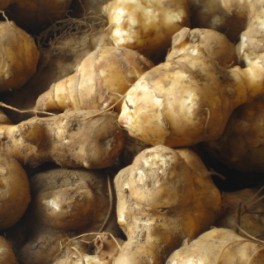 Topinambury 500g Topinambury 500g
