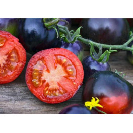 BIO rajče černé malé 500g (Damnice) BIO rajče černé malé 500g (Damnice)