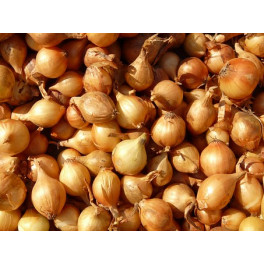 BIO šalotka 500g (Sociální podnik Jasan)