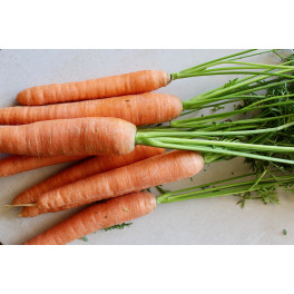 Mrkev  500g (Tvarožná) 