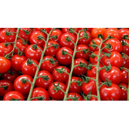 Rajčata cherry 250g (Farma Ráječek) Rajčata cherry 250g (Farma Ráječek)