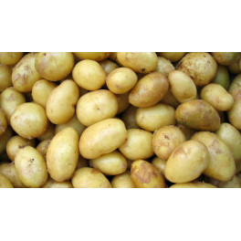 Brambory salátové 1 kg (ČR)