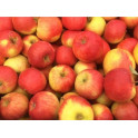 BIO Jablka Gala 500g (Sady St. Lískovec) 