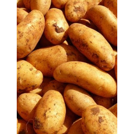 BIO brambory 1 kg - z dovozu