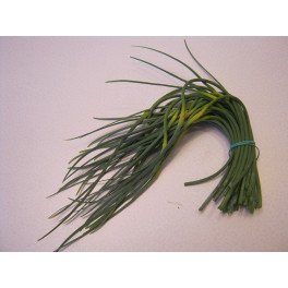 BIO česnekov&eacute; v&yacute;honky 500g (Soci&aacute;ln&iacute; podnik Jasan)