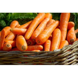 Mrkev nov&aacute; 500g (Farma rodiny Němcovy)