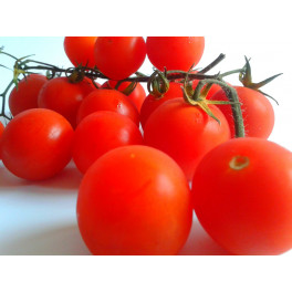 Rajčata keř&iacute;kov&aacute; klasick&aacute; 500g (R&aacute;ječek)