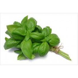 BIO Bazalka řezan&aacute; AKCE 2+1 svazek (Damnice) 