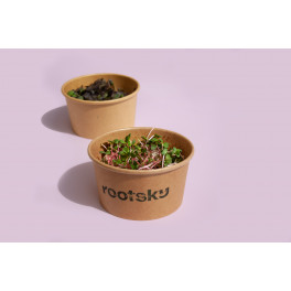 Microgreens ředkvička 25g (Rootsky)