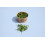 Microgreens hr&aacute;&scaron;ek 25g (Rootsky)