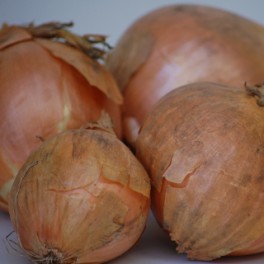 Cibule žlutá 500 g (Vysočina)